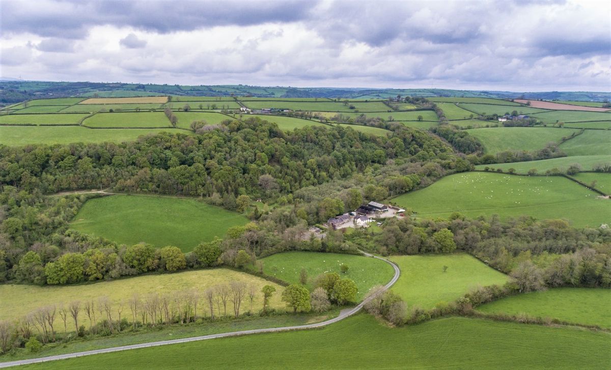 Aerial view over the green valley
