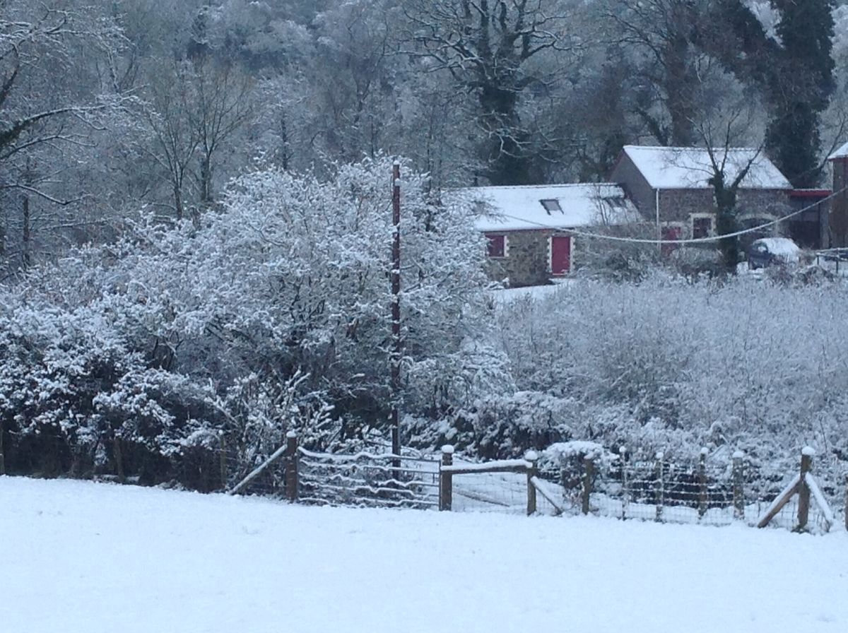 The barn and woods under snow